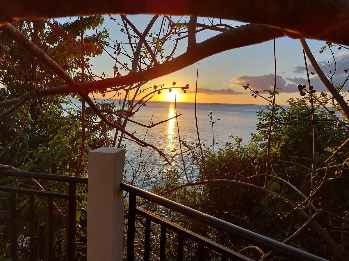 Villa La Terrasse Des Tortues Bouillante Ferienhaus